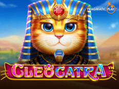 Gaminator casino slot makinesi86